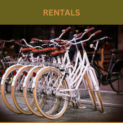 Rentals graphic