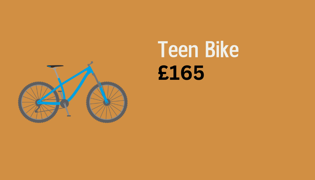 Teen Bike £165